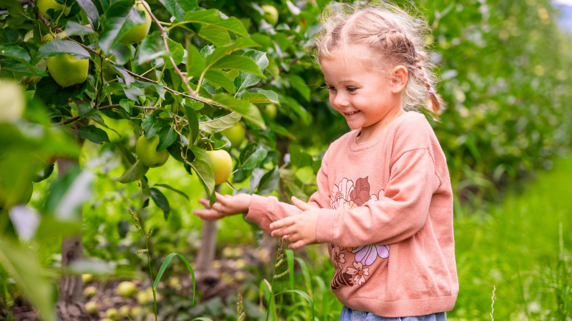 Kind in appelboomgaard Italië