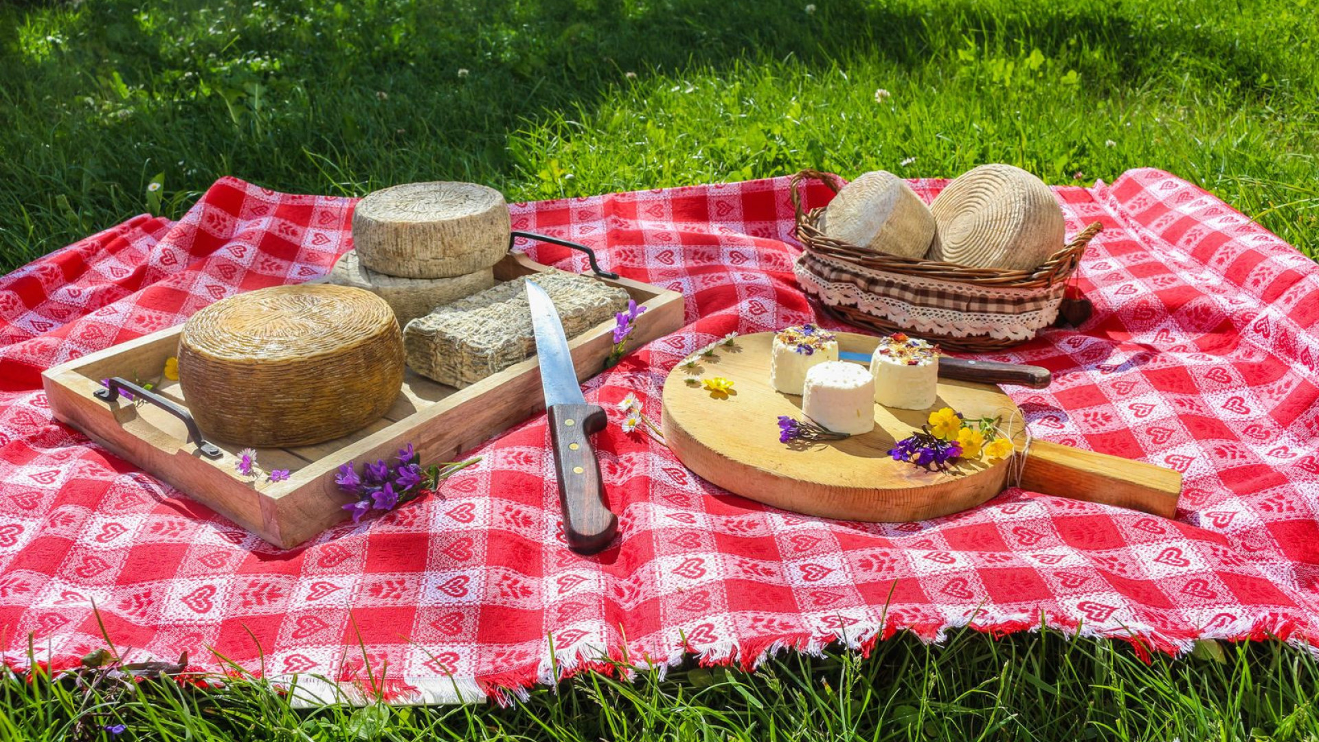 Trentino - picknick - bergkazen