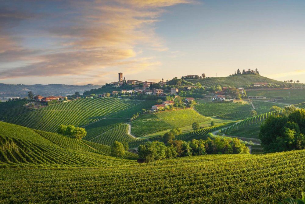 Barbaresco Piemonte wine en panorama