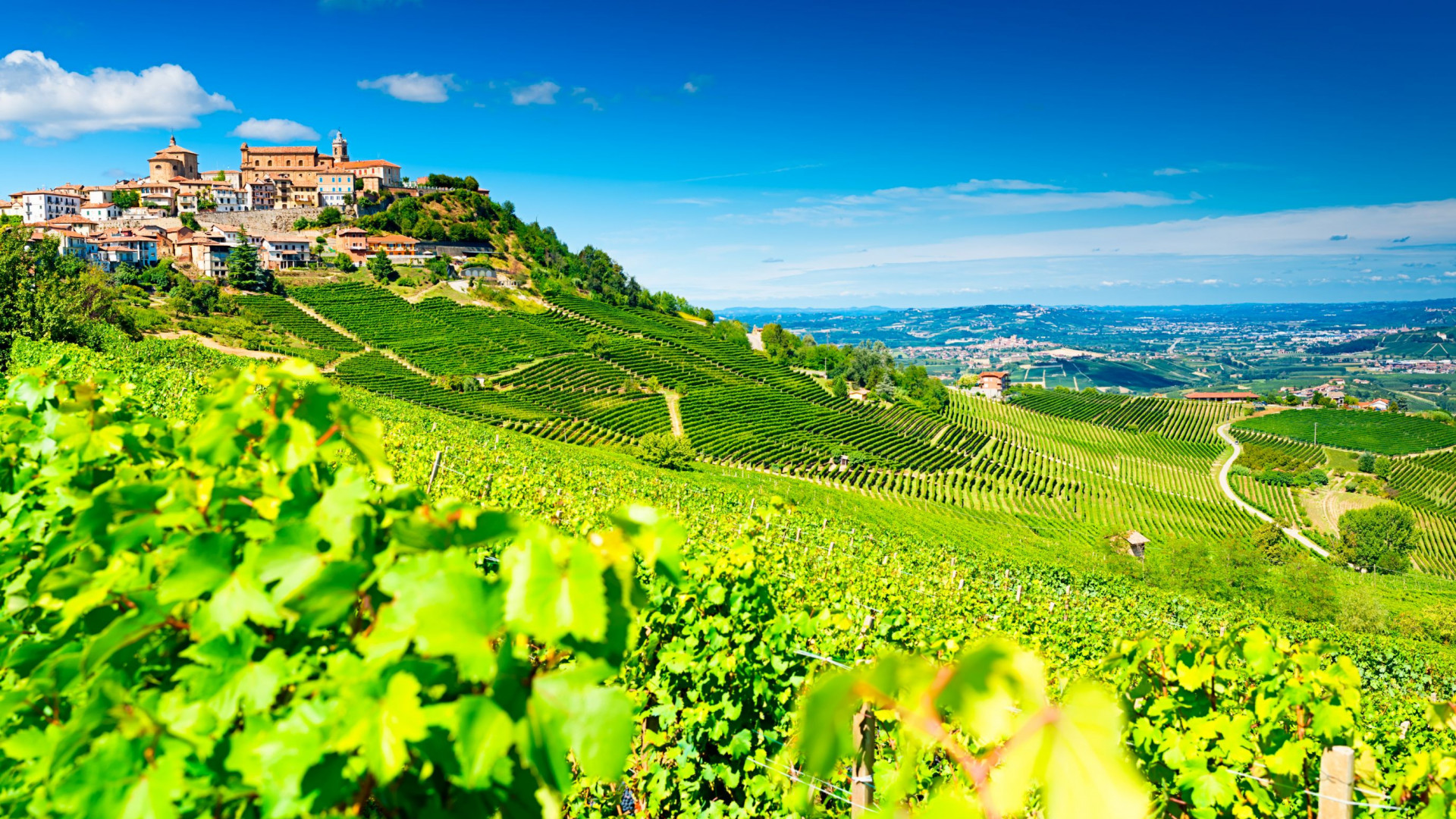 Piemonte - stadje - bloemen