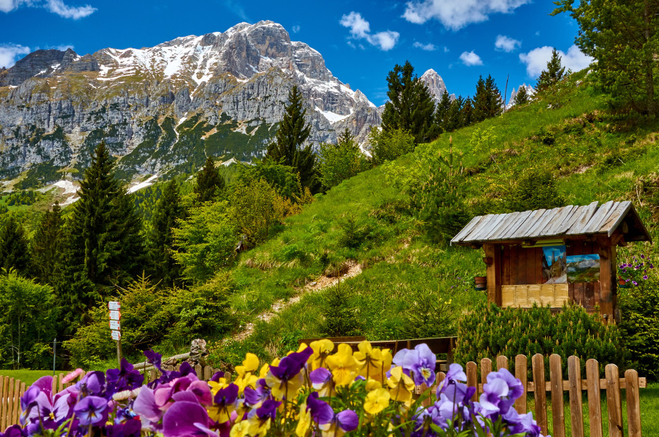 Brenta Dolomieten - Trentino - Molveno