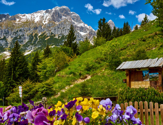 Brenta Dolomieten - Trentino - Molveno