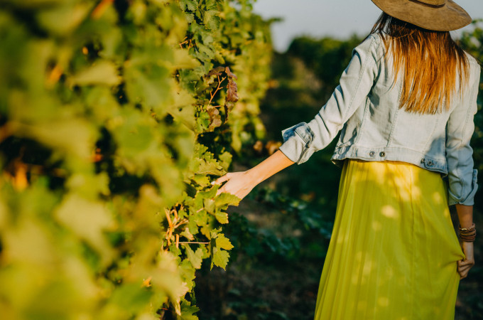 Vrouw lopend door wijngaarde - experience - rondleiding