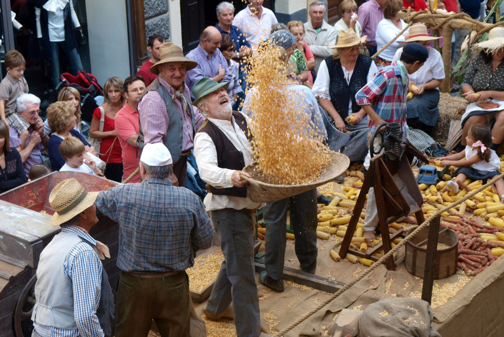 Palio d'Asti - Mais