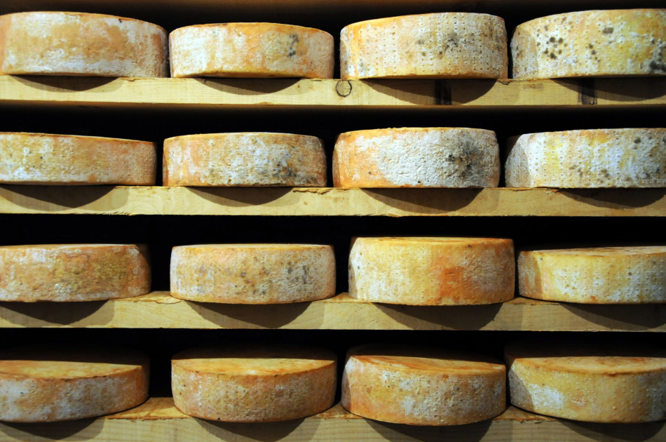 Emilia Romagna - Parma - Parmezaanse kazen