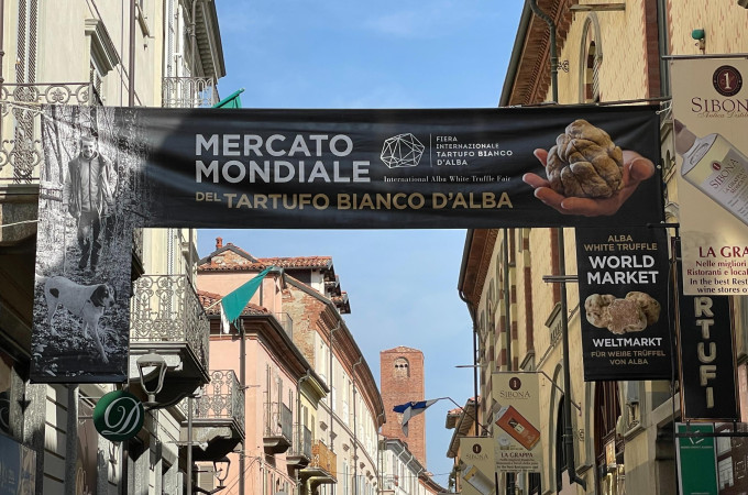 Witte truffel Alba