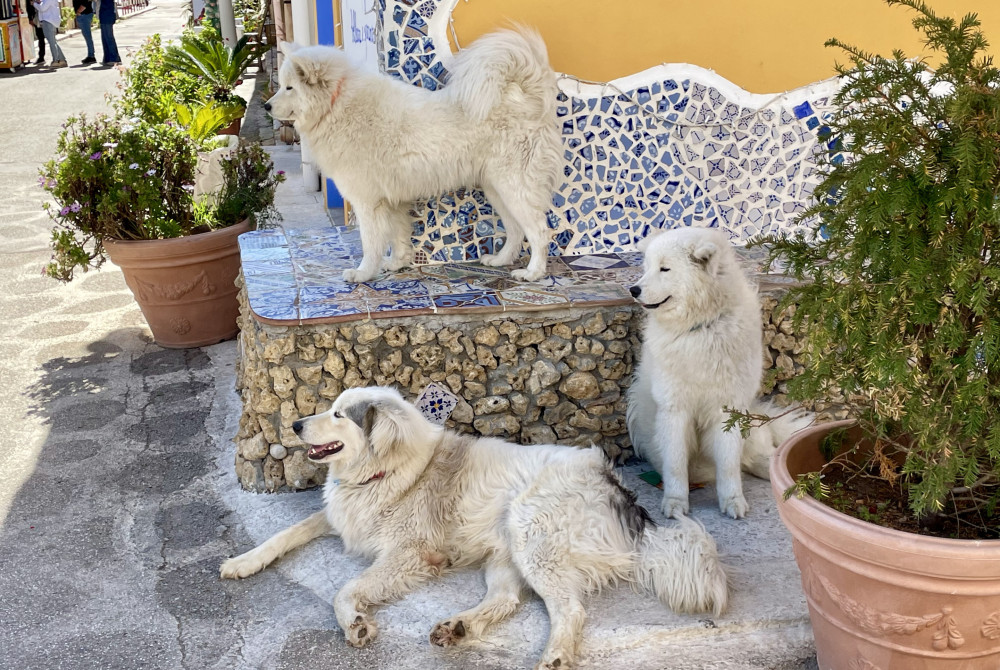 Borgo Parini - Noordwest Sicilië