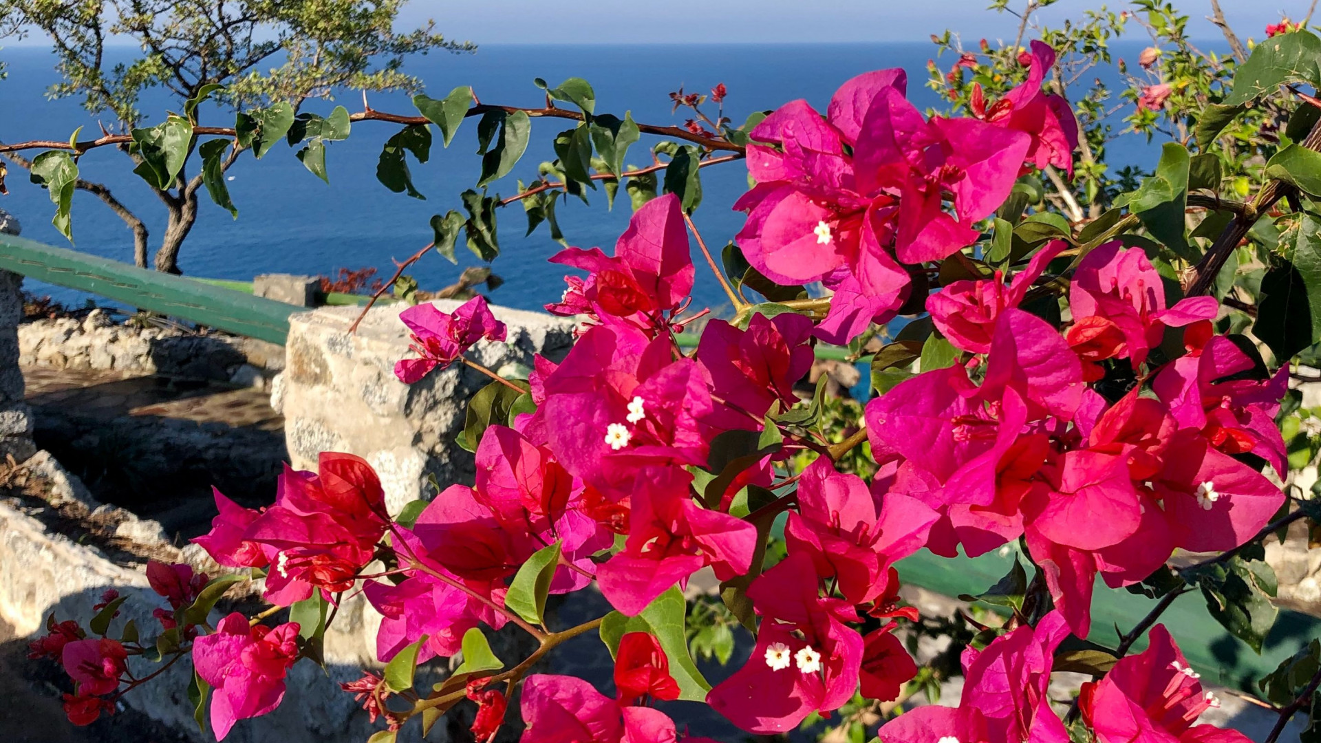 Bougainville - zee