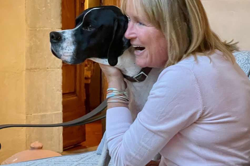 Alinda van Teeckelenburgh - hond - Pointer Florence - I Parigi Corbinelli