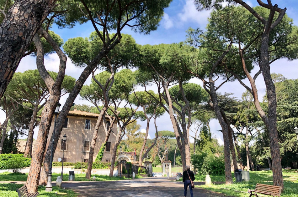 Lazio - Rome - park - pini - bomen