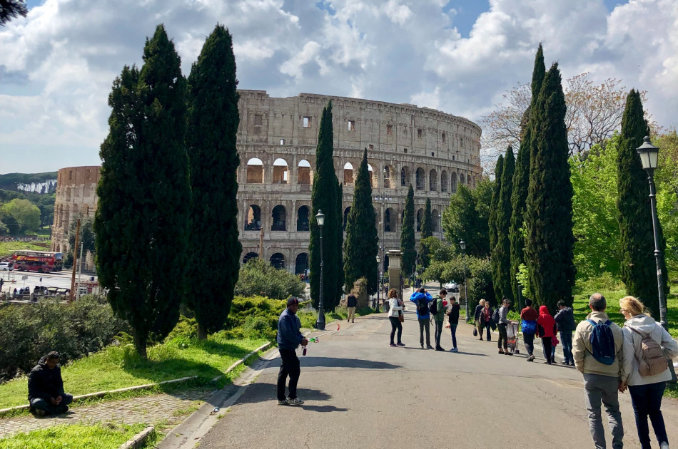 Lazio - Rome - Colosseum - Cypressen