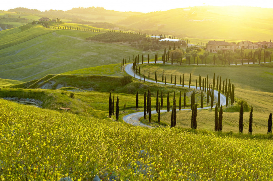 Toscane - landschap - cipressen - Valle d'Orcia