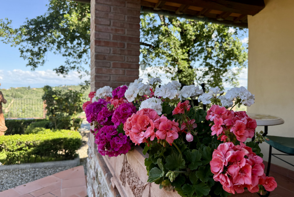 Toscane - Bloemen