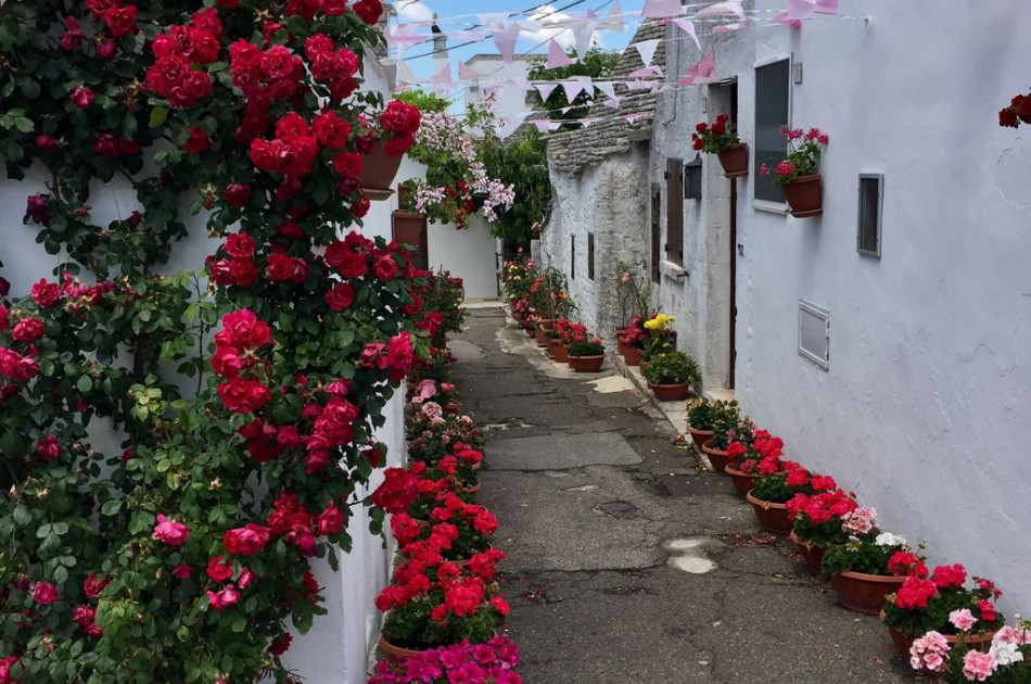 Puglia - Alberobello - Trulli - straatbeeld - bloemen