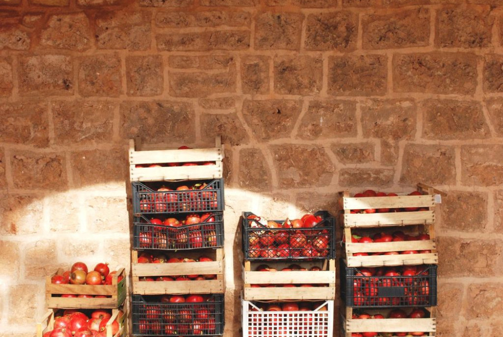 Tomaten Landbouwproducten Puglia