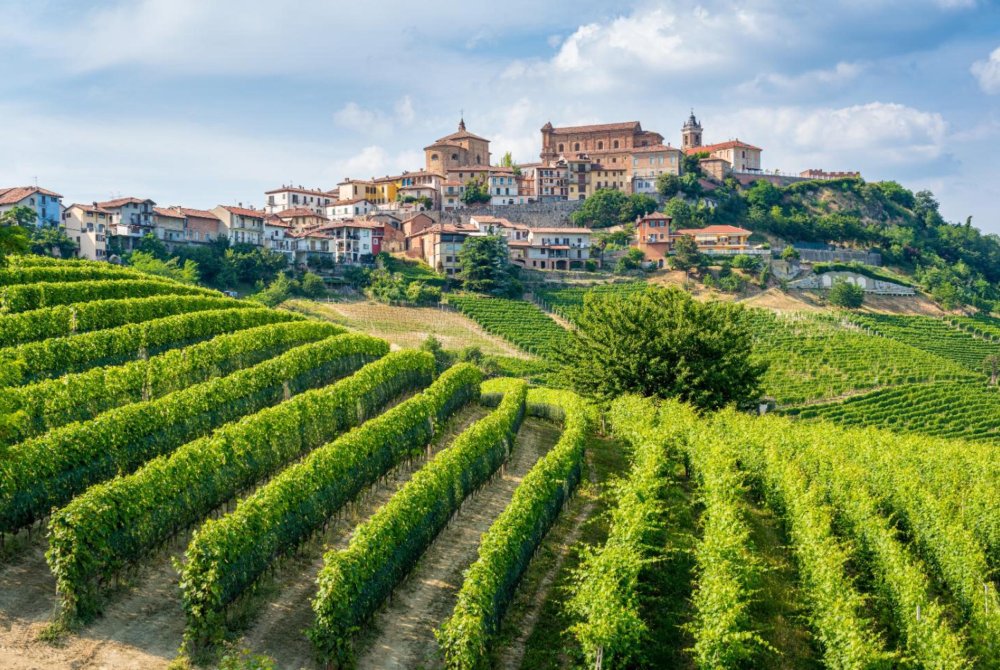 La Morra Panorama Piemonte