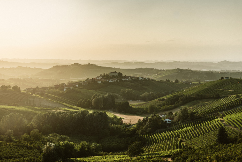 Landschap omgeving Asti