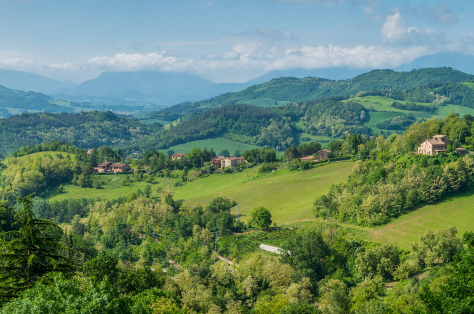Le Marche - Urbino - stad - Rafael - landschap - groen