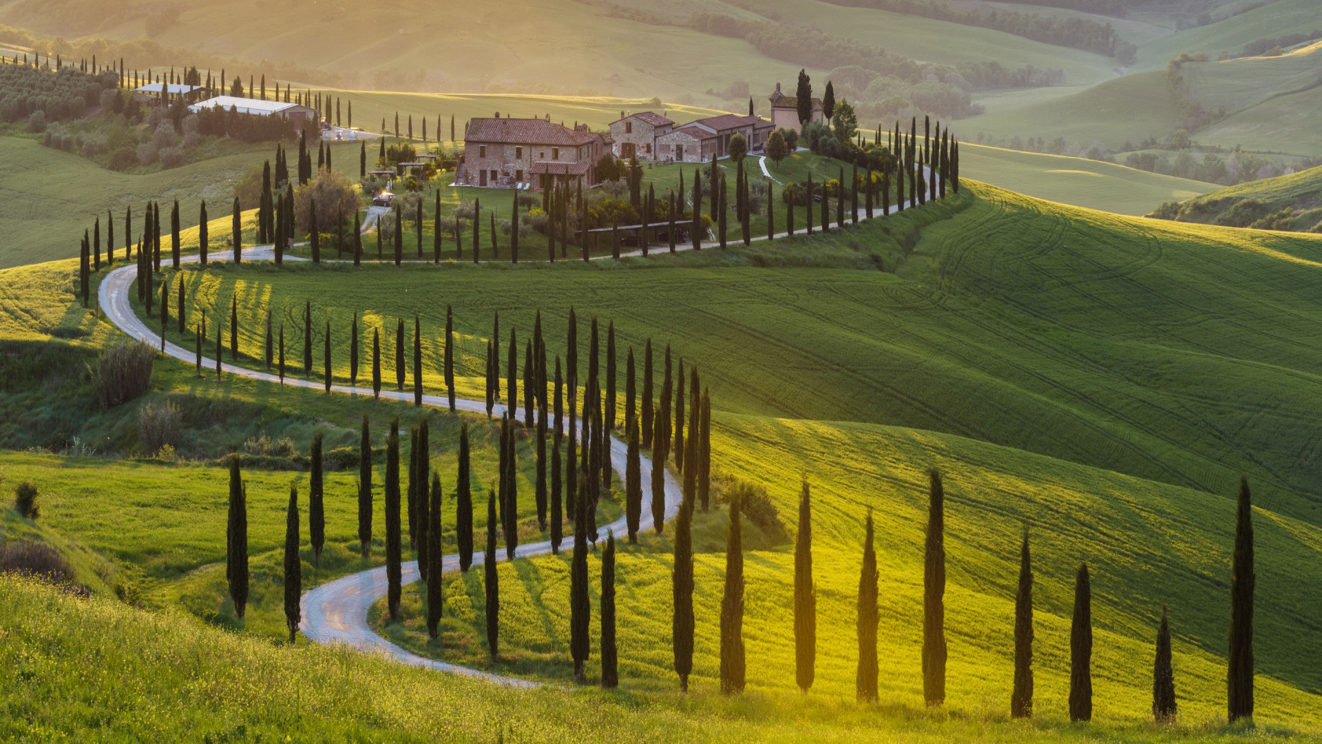 Toscane - Val d'Orcia - groen glooiend landschap met cipressen om kronkelende weg