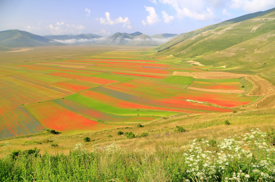 umbrie-sibillini-national-park-piano-grande - Veldbloemen in bloei