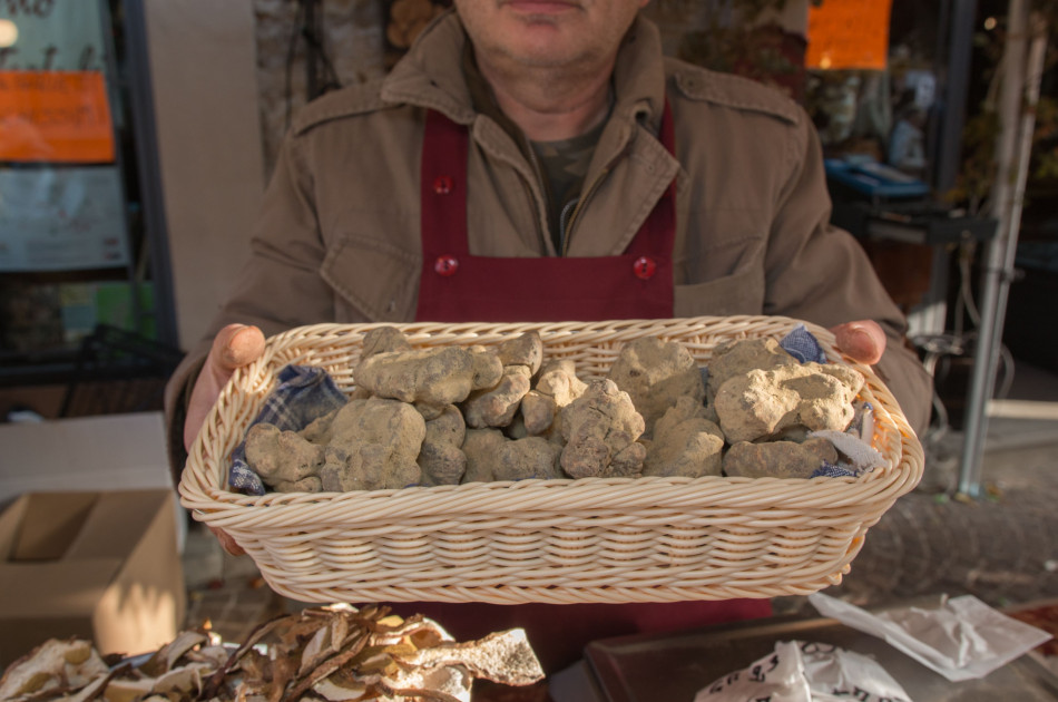 Piemonte - truffel - truffels - witte truffel - Alba
