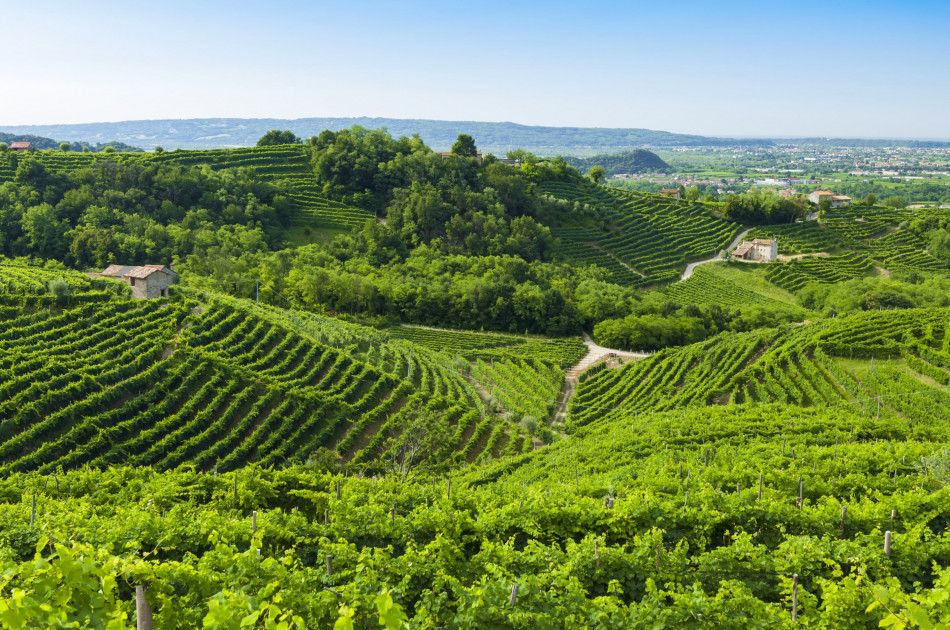 Veneto - Prosecco hills - wijngaarden - werelderfgoed