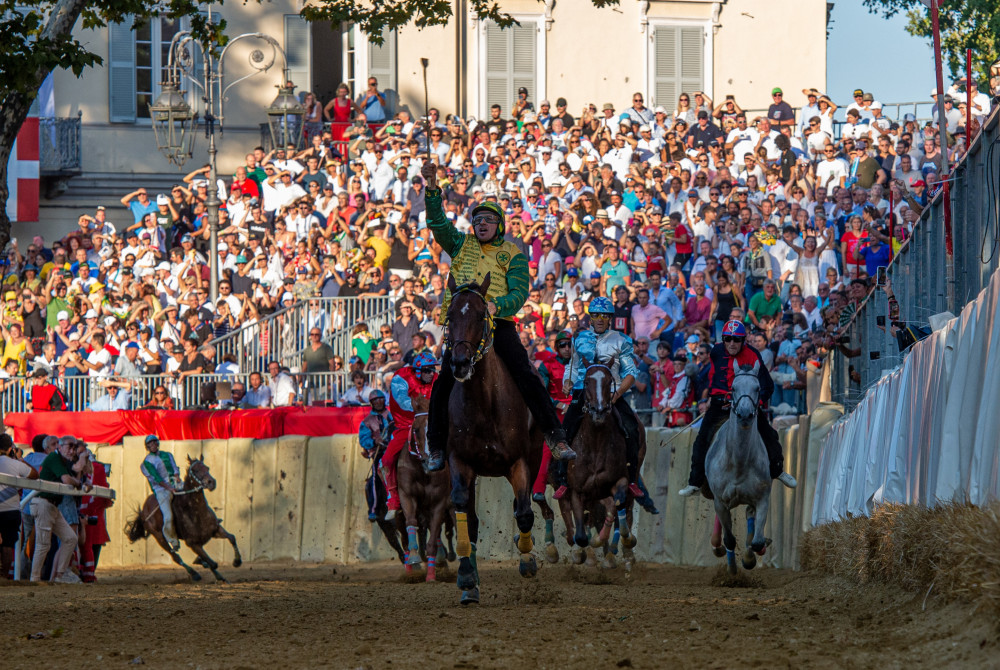 Palio d'Asti - paarden - Asti