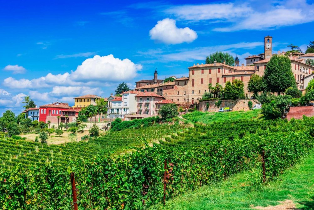 Neive - Langhe - town view