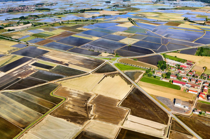 Rijstvelden - Piemonte