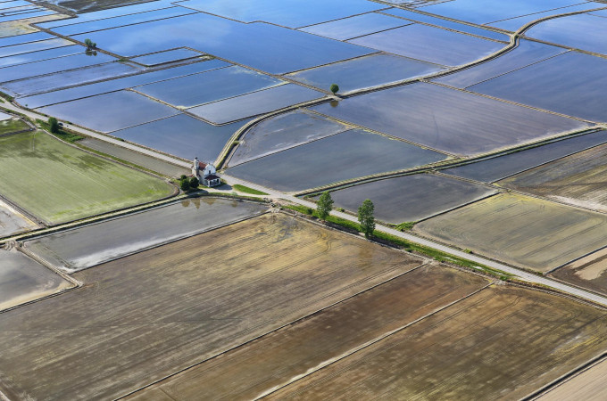 Rijstvelden - Piemonte