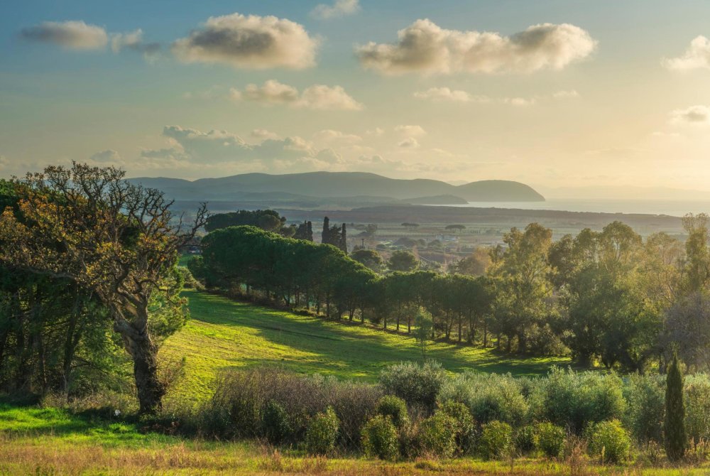 Gouden zonsondergang aan de Costa degli Etruschi tussen San Vincenzo en Baratti in Maremma, Toscane. Glooiende groene heuvels, mediterrane vegetatie en de kust achtergrond.