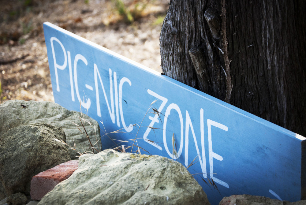 Picknick - Experience - Piemonte