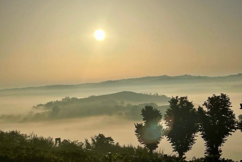 Monferrato - Nebio