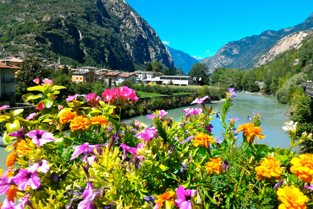 Valle dAosta-bergen-natuur-bloemen