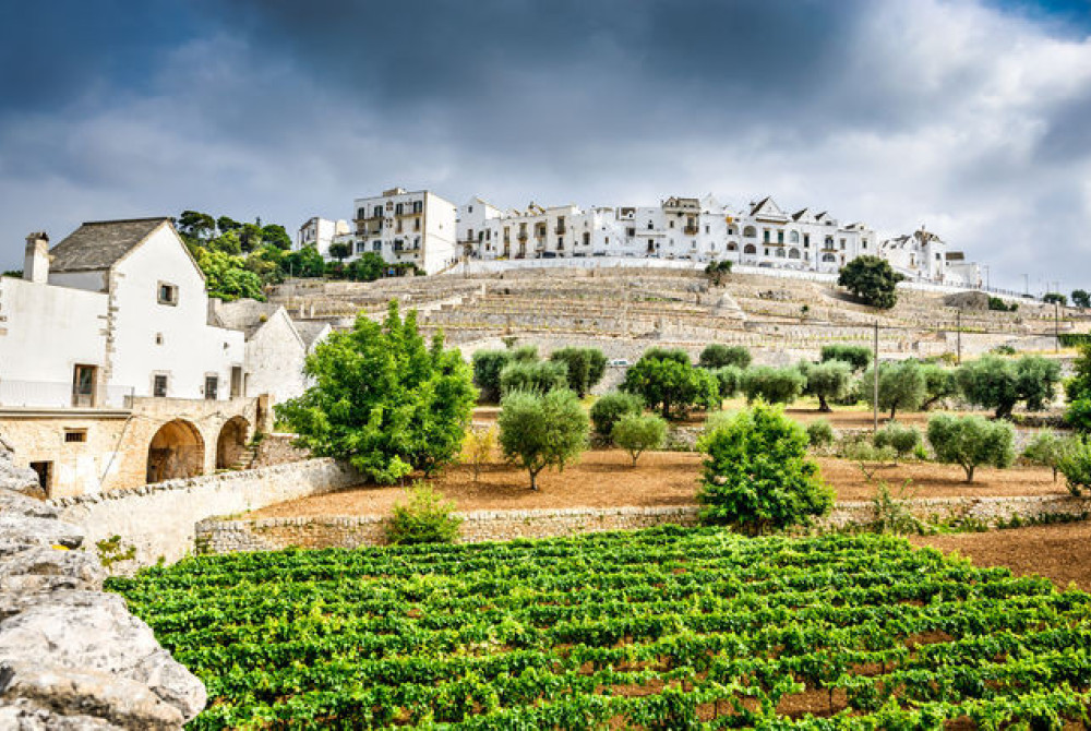 Puglia - Locorotondo