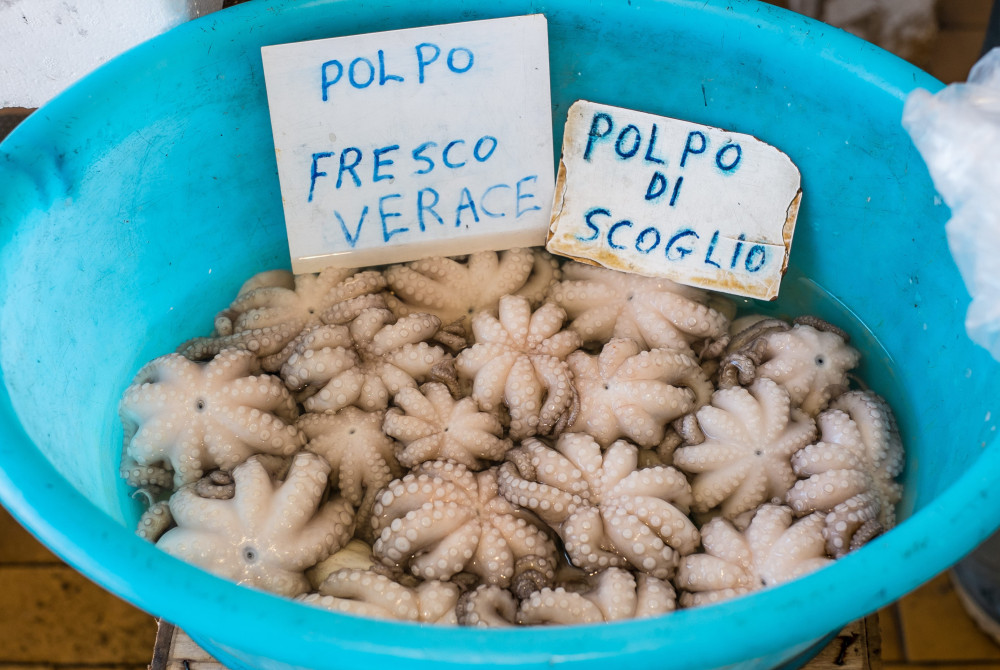 Puglia - verse vis - inktvis in blauwe teil