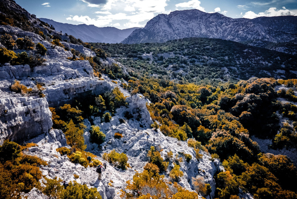 Sardinie - binnenland - supramonte - natuur